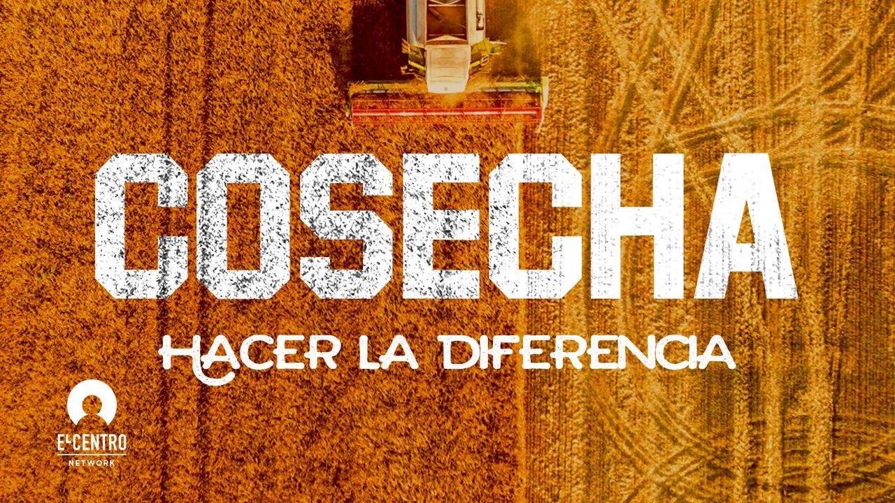 [Hacer la diferencia] Cosecha