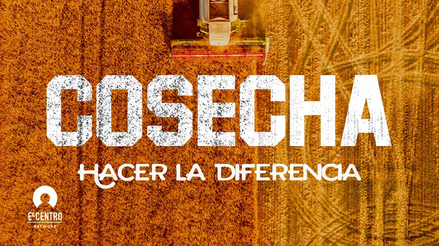 [Hacer la diferencia] Cosecha Mateo 9:36-38 Nueva Traducción Viviente