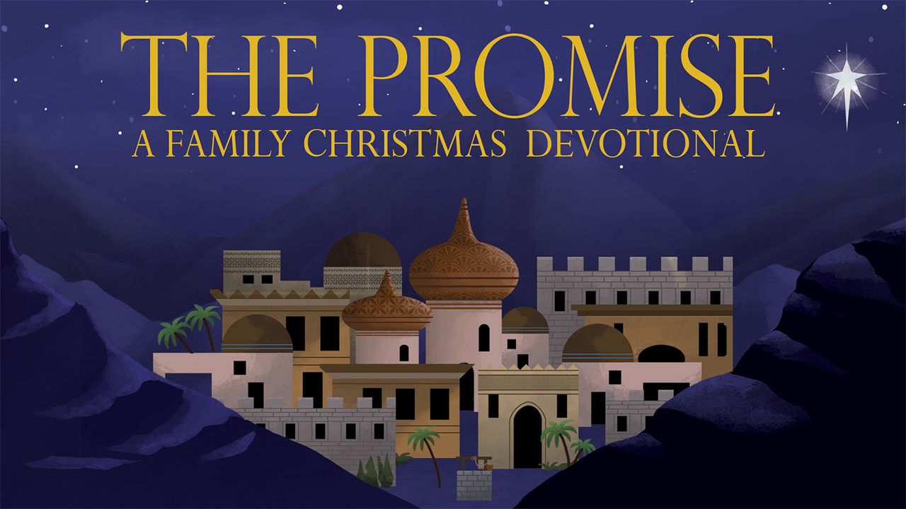 The Promise: A Family Christmas Devotional