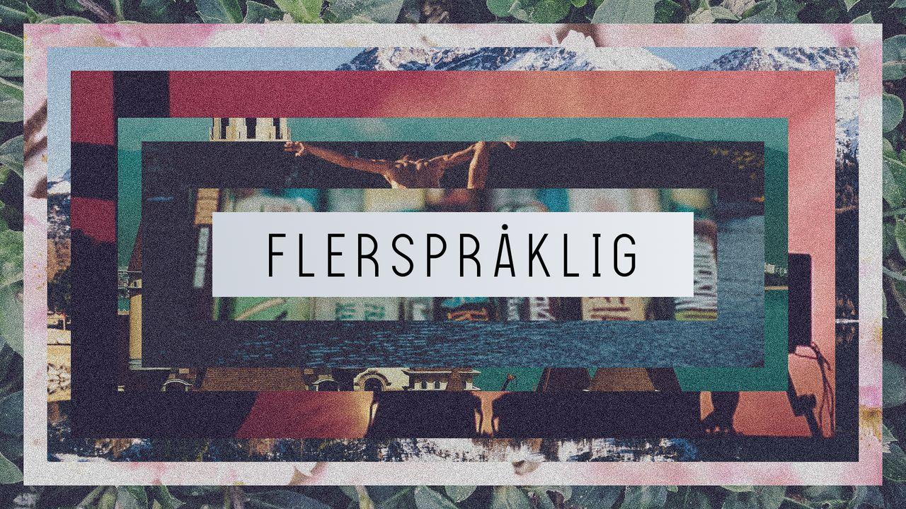 Flerspråklig