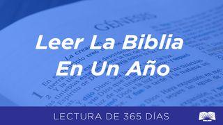 Leer La Biblia En Un Año