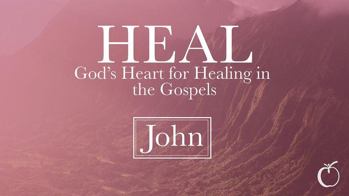 HEAL - God's Heart for Healing in John