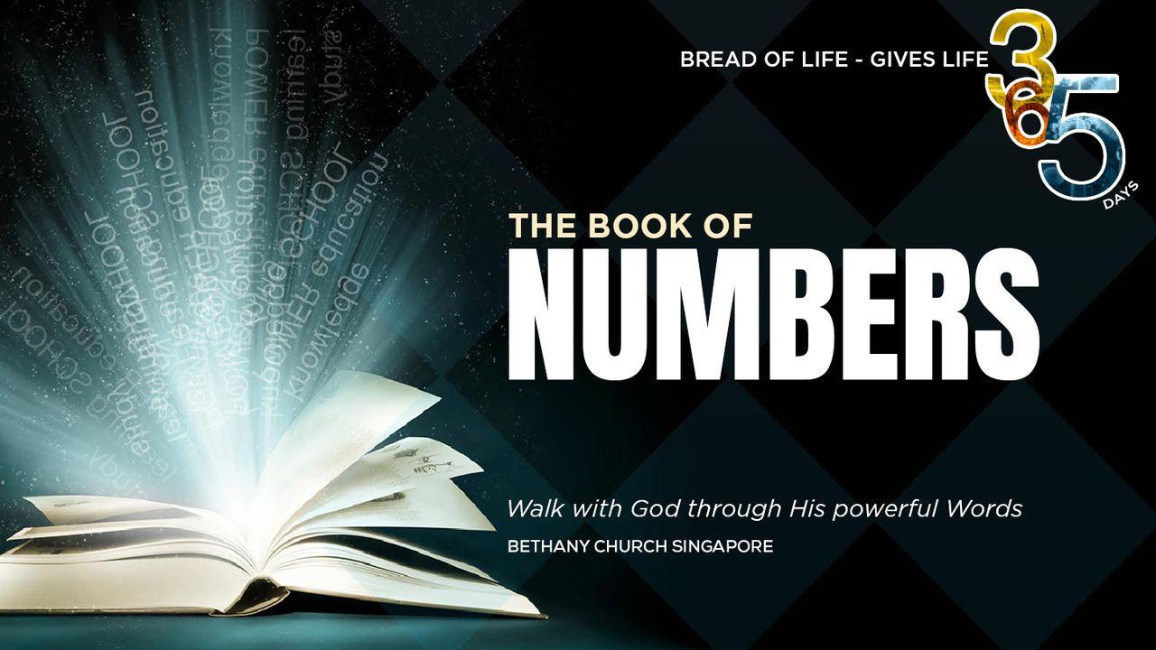 Book of Numbers