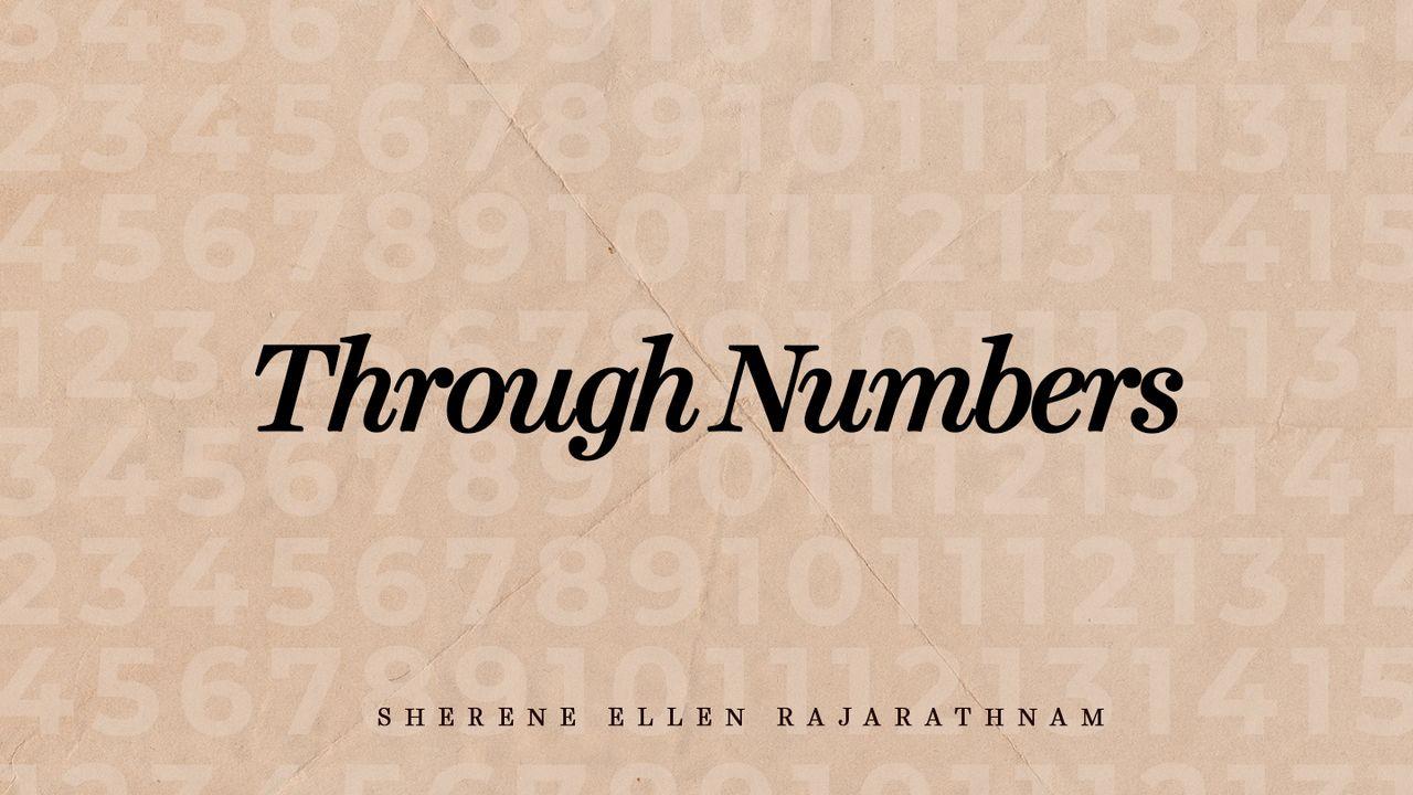 Through Numbers 