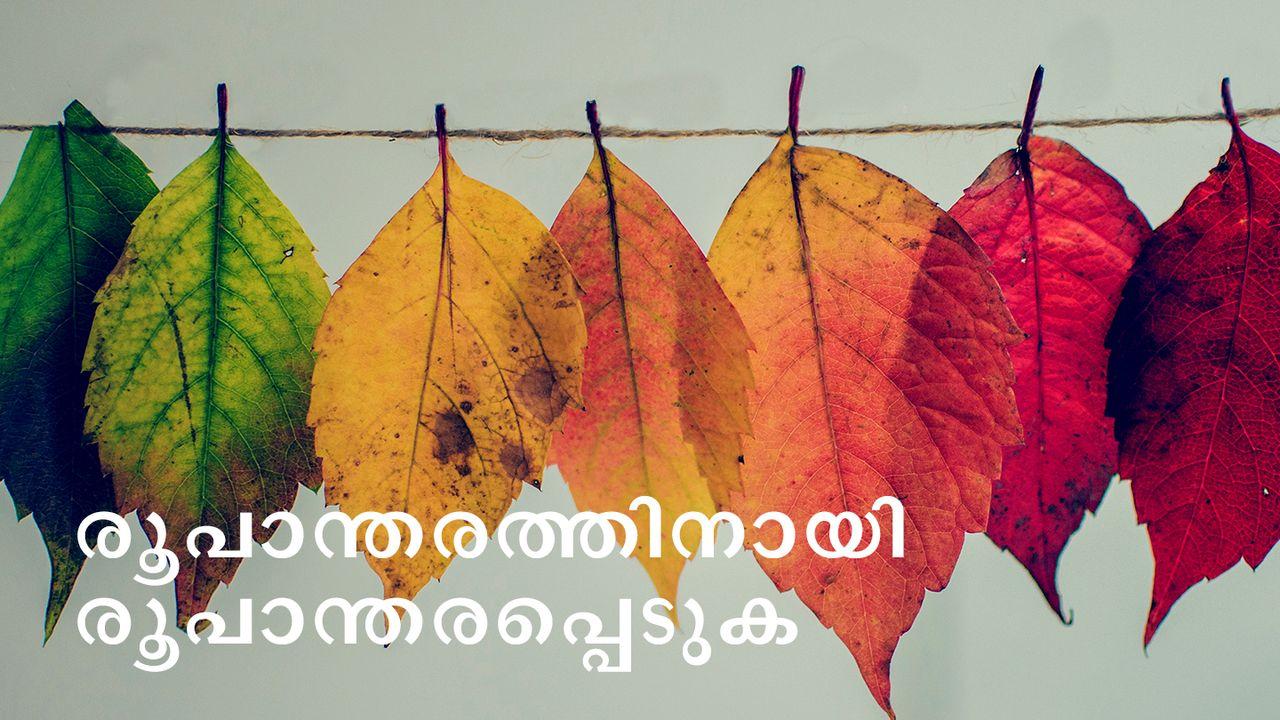 രൂപാന്തരത്തിനായി രൂപാന്തരപ്പെടുക