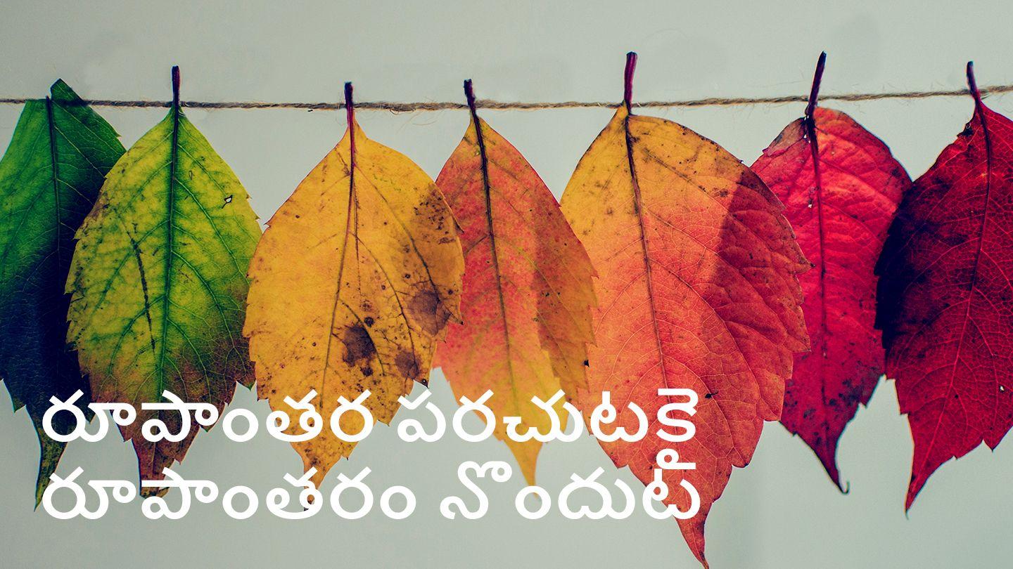 రూపాంతర పరచుటకై రూపాంతరం నొందుట 1 కొరింతీ పత్రిక 1:1-3 ఇండియన్ రివైజ్డ్ వెర్షన్ (IRV) - తెలుగు -2019