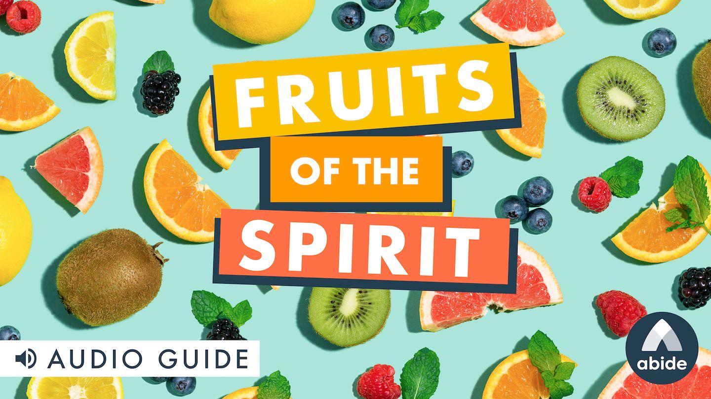 Fruits of the Spirit 使徒行傳 28:2-3 和合本2010 （和合本修訂版） （繁體字） 神版