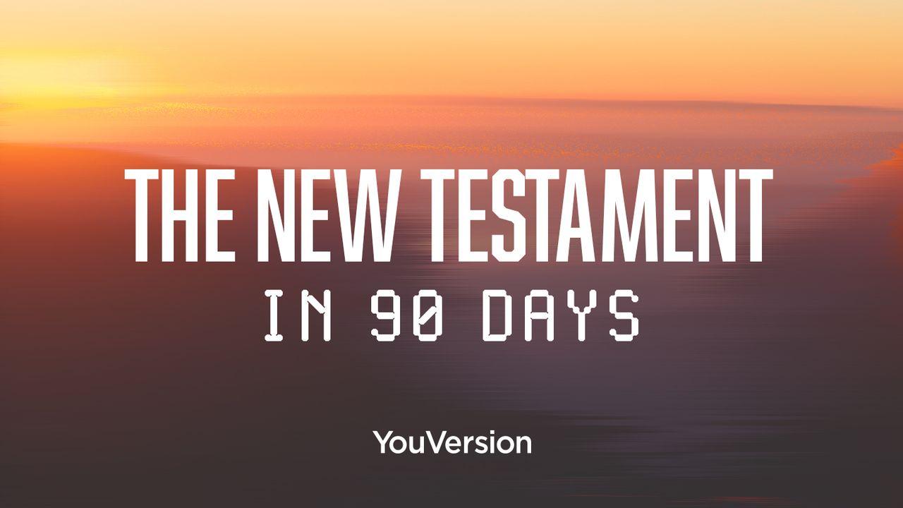 The New Testament in 90 Days