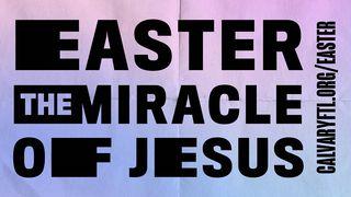 The Miracle of Easter Yowano 12:23 Livulu lya Shukulu Kalunga