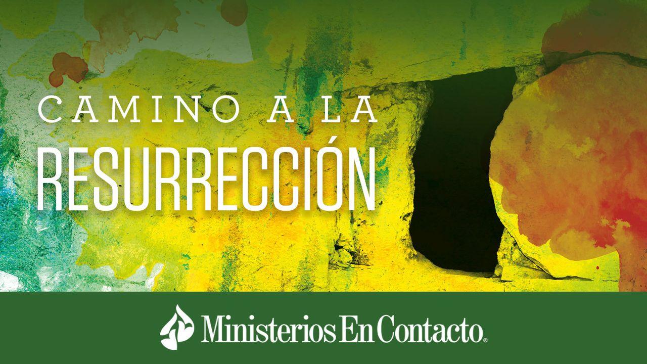 Camino a la Resurrección