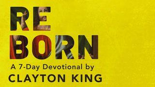 Reborn