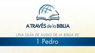 A través de la Biblia - Escucha el libro de 1 Pedro 1 Pedro 3:11-15 Biblia Reina Valera 1960