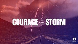 Courage in the Storm Mark 6:48-51 New International Version