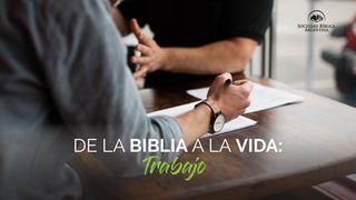De la Biblia a la vida: el trabajo Genesis 1:29 Wubuy