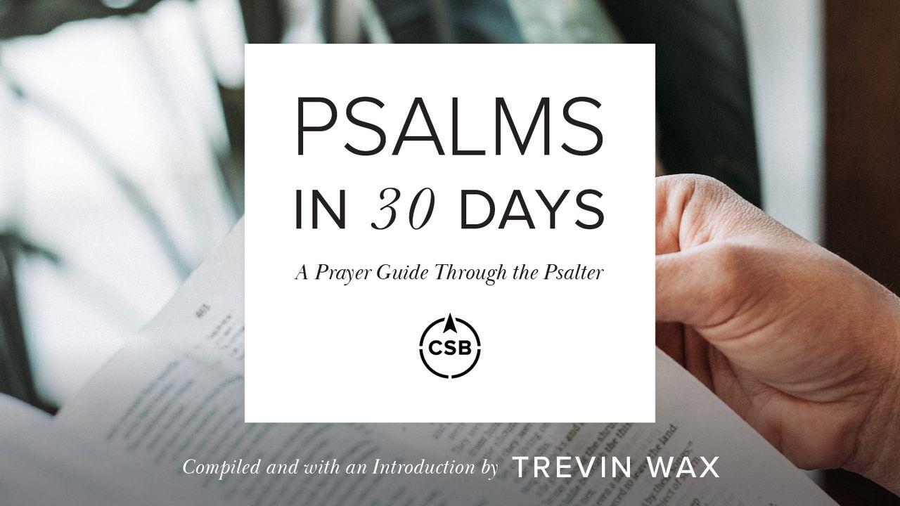 Psalms in 30 Days