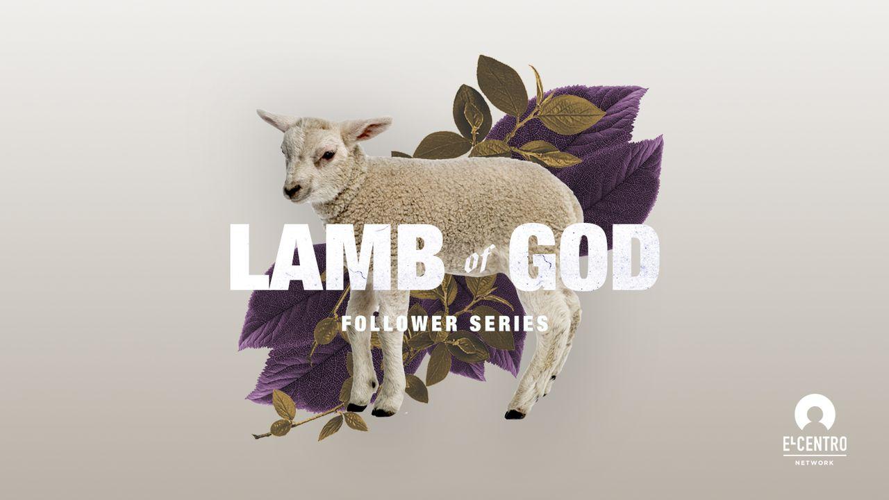 Lamb of God 