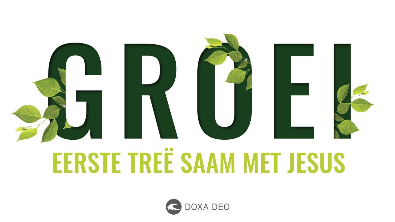 Groei: Eerste treë saam met Jesus