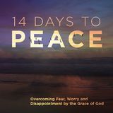 14 Days to Peace