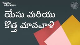 BibleProject | యేసు మరియు కొత్త మానవాళి