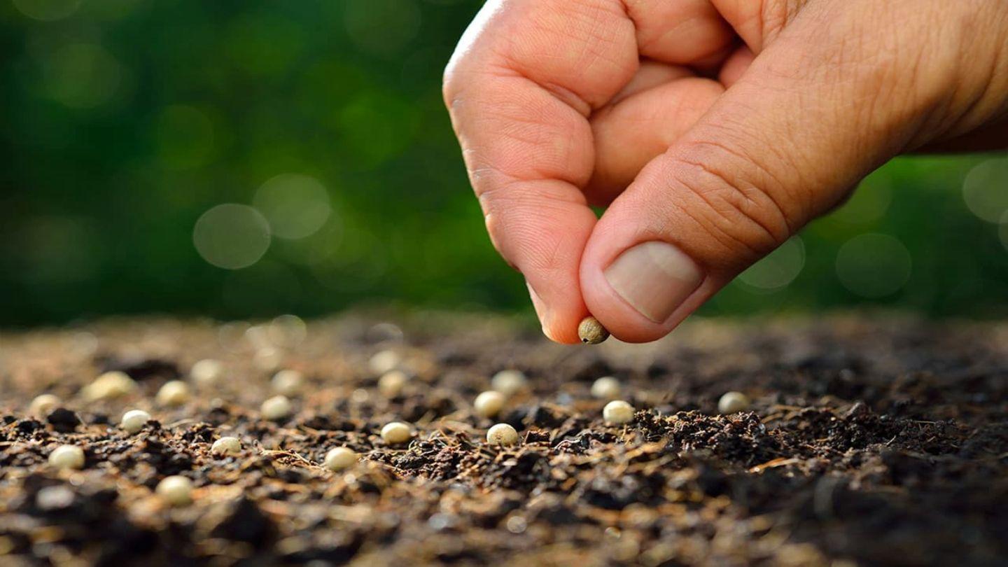 Actitudes para cultivar y fortalecer la vida de fe  Génesis 13:18 Palabla de Dios para ti