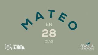 Estudiar la Biblia - Mateo en 28 días