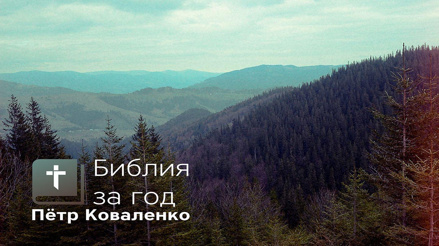 Библия за год