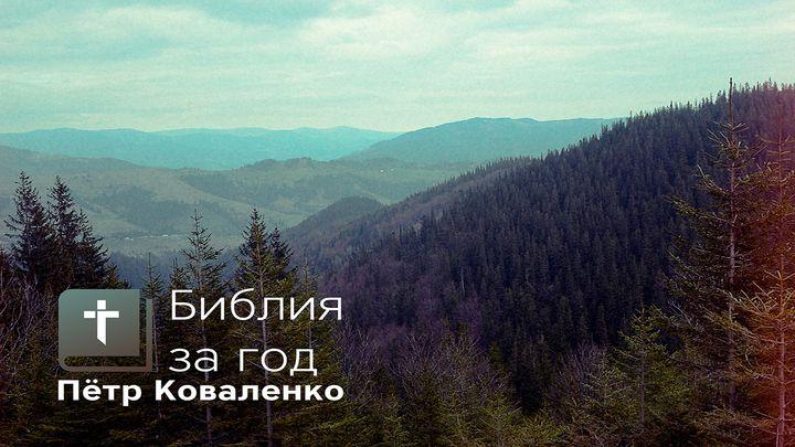 Библия за год