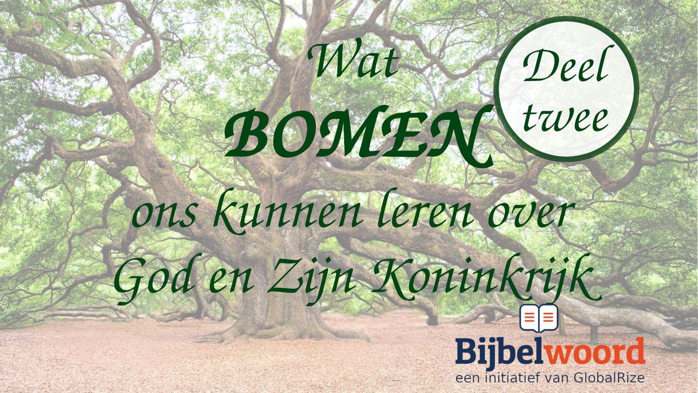 Wat bomen ons kunnen leren over God en zijn Koninkrijk — deel 2 De tweede brief van Petrus 3:8-12 NBG-vertaling 1951