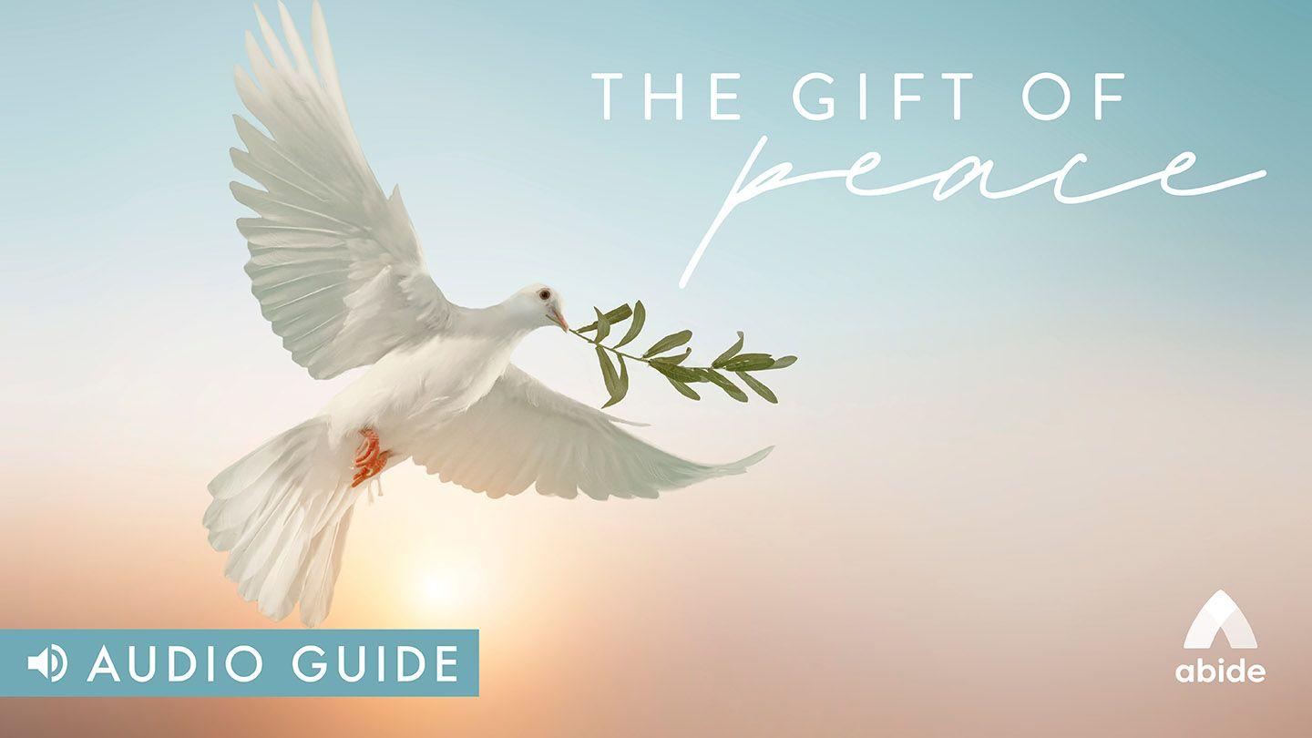 The Gift of Peace Genesis 33:4-11 Amplified Bible