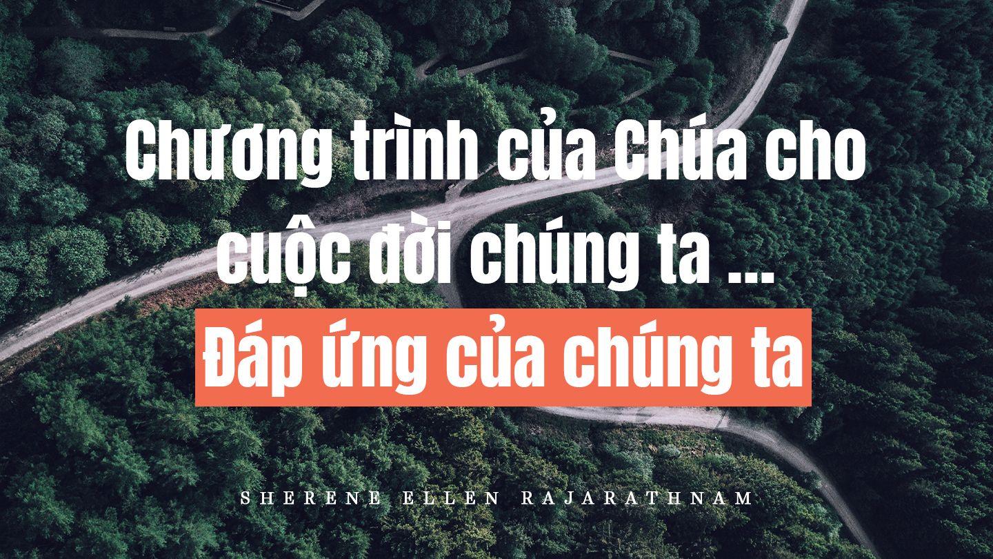 Chương trình của Chúa cho cuộc đời chúng ta … Đáp ứng của chúng ta