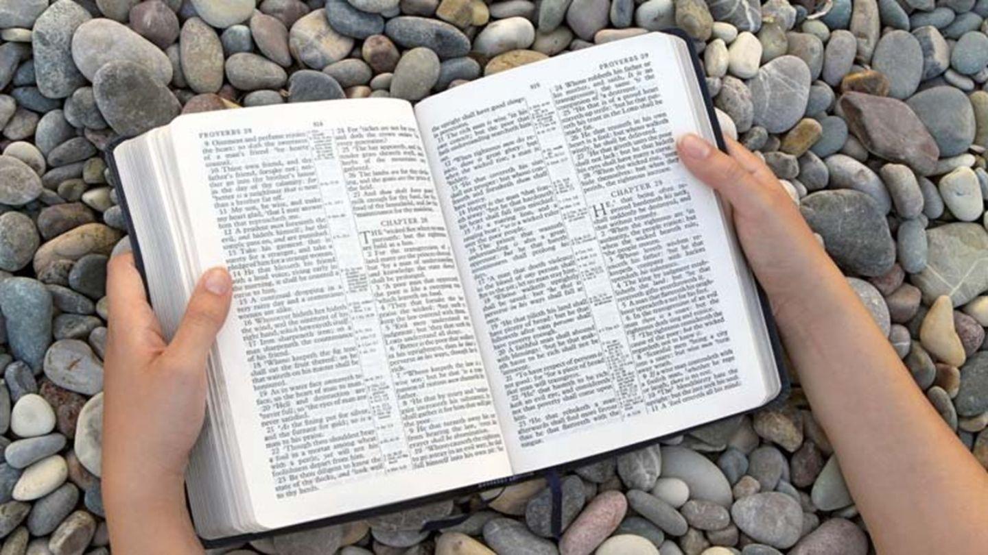 El poder de la palabra de Dios para transformar vidas San Juan 6:63-69 Biblia Dios Habla Hoy