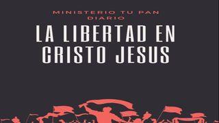 Libertad en Cristo Jesús Colosenses 1:13-22 Nueva Traducción Viviente