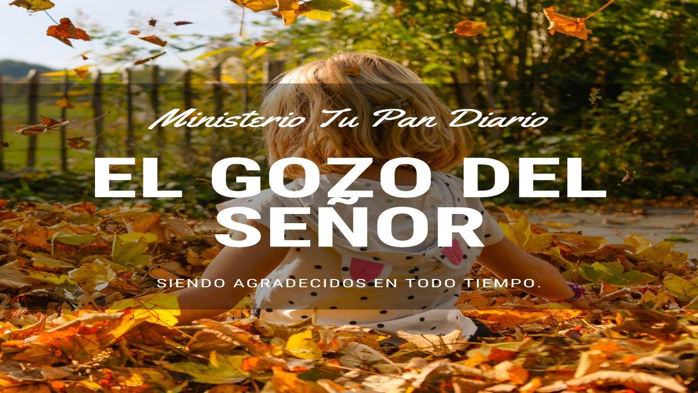 El gozo del Señor.
