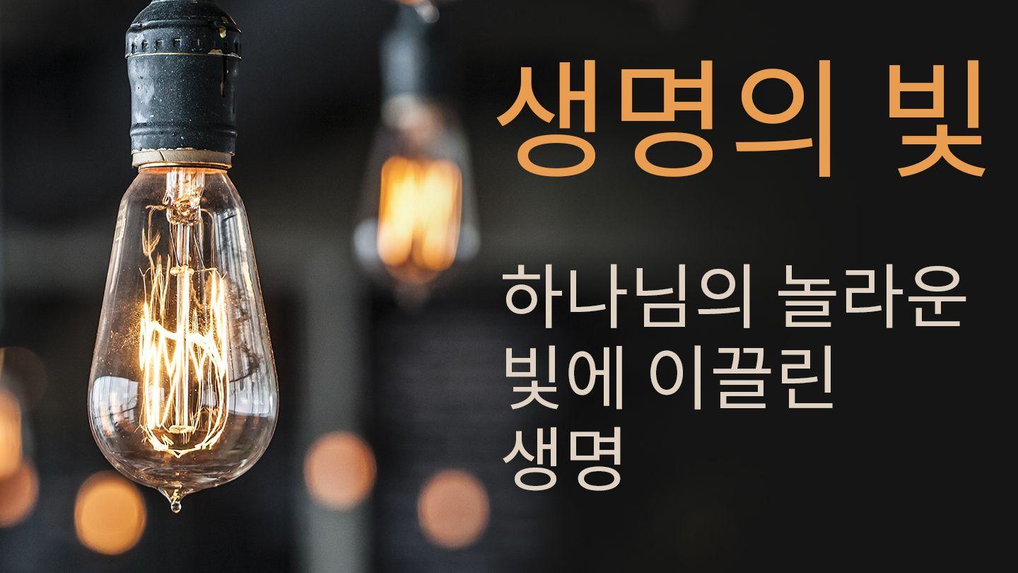 생명의 빛    하나님의 놀라운 빛에 이끌린 생명 約翰福音 3:17 Griffith John Wenli NT