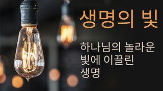 생명의 빛    하나님의 놀라운 빛에 이끌린 생명