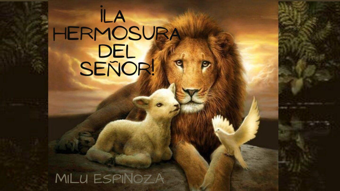 ¡La hermosura del Señor! 