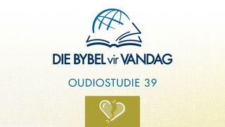 Jeremia Jeremia 11:9-23 Die Bybel 2020-vertaling