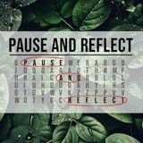 Pause and Reflect Puzzles