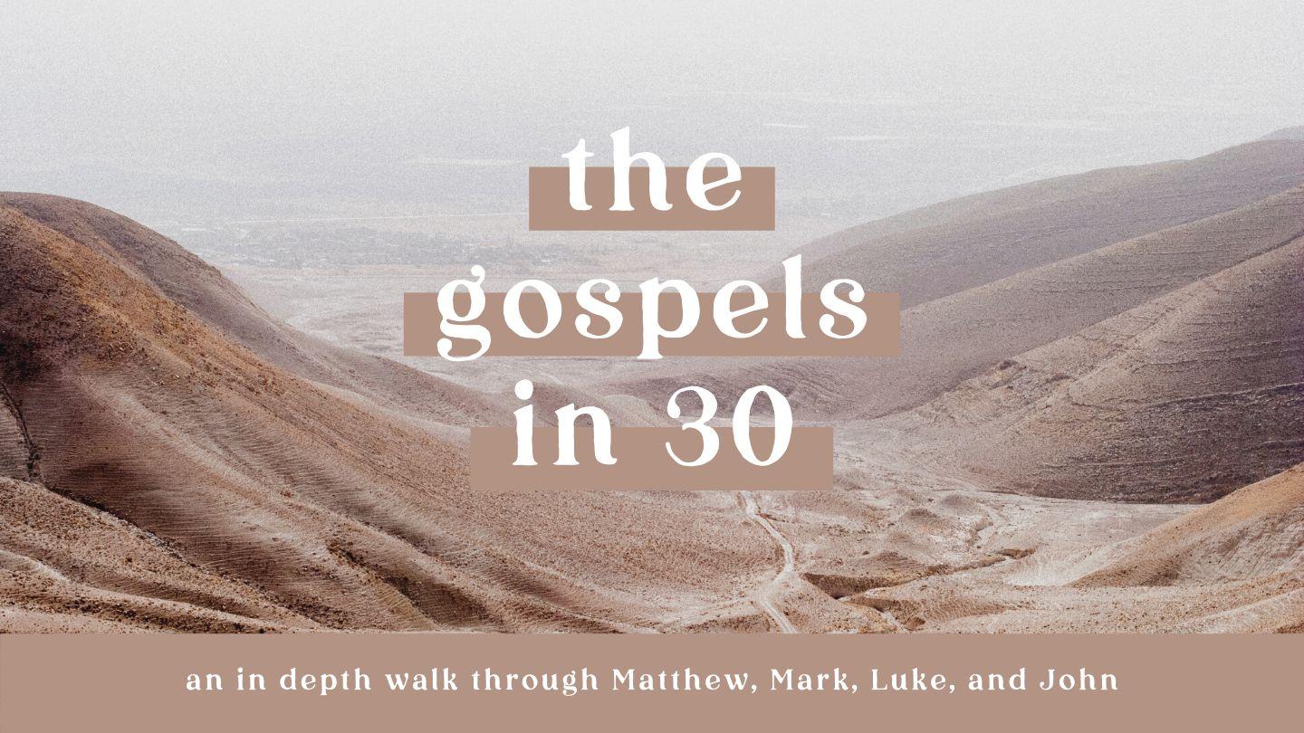 The Gospels in 30