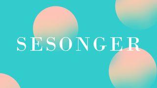 Sesonger