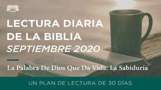 La Palabra De Dios Que Da Vida: La Sabiduría S. Mateo 13:44 Biblia Reina Valera 1960