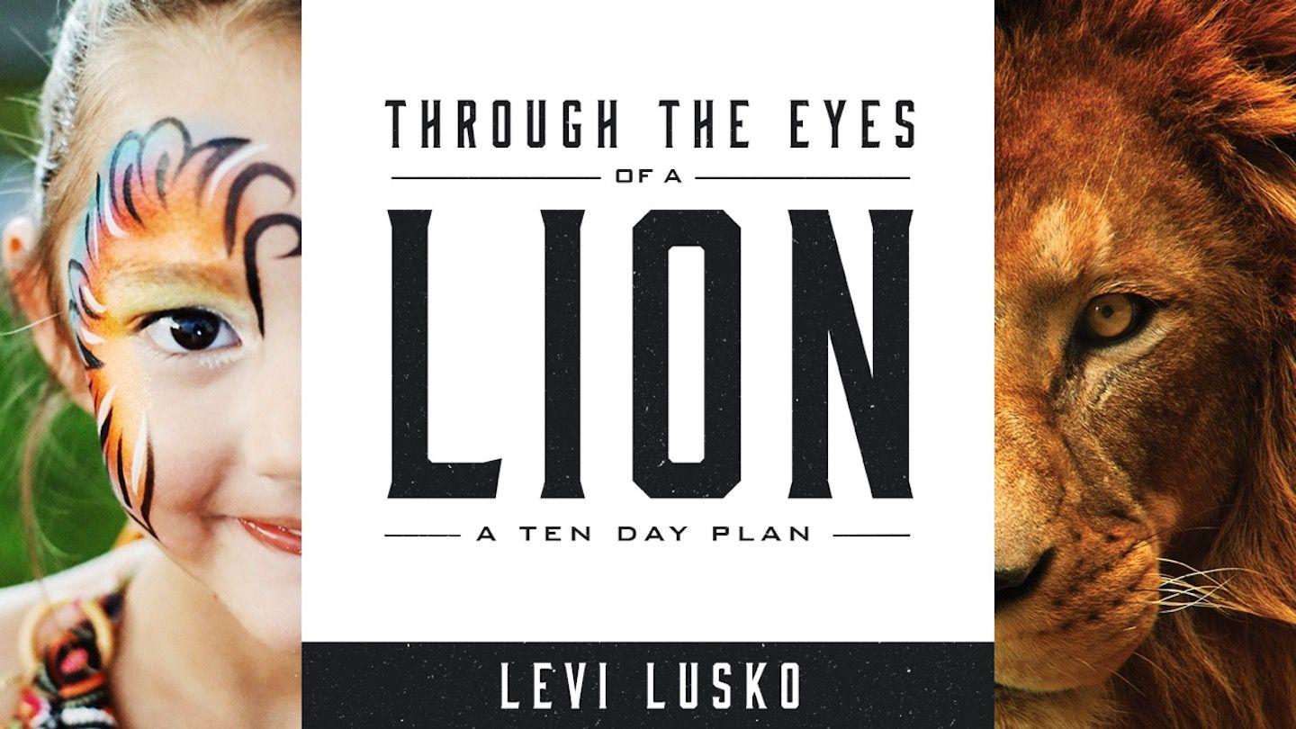 Through The Eyes Of A Lion 2 Corinthians 5:11-12 New International Version