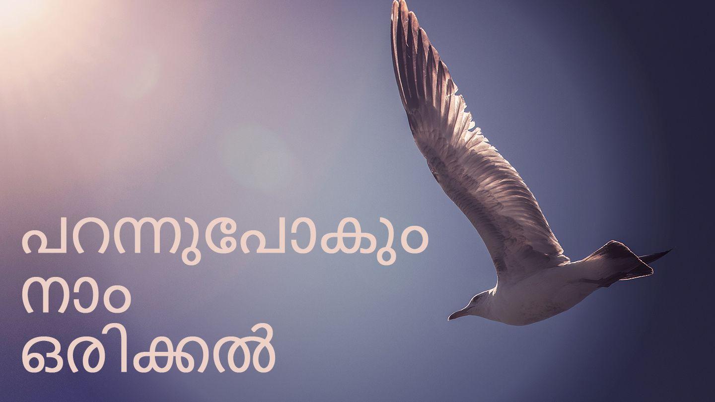 പറന്നുപോകും നാം ഒരിക്കൽ Psalm 54:1-7 King James Version