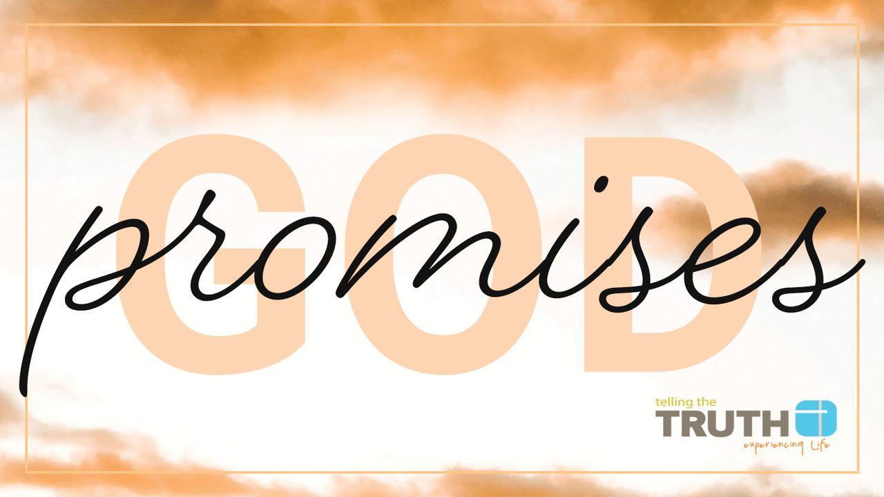 God Promises By Stuart & Pete Briscoe