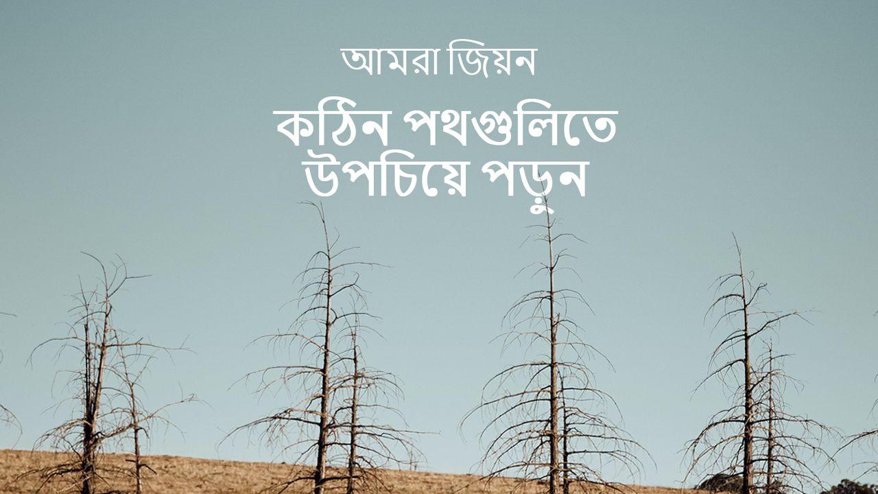 কঠিন পথগুলিতে উপচিয়ে পড়ুন