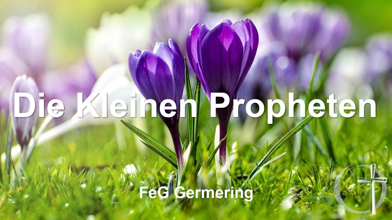 Die Kleinen Propheten