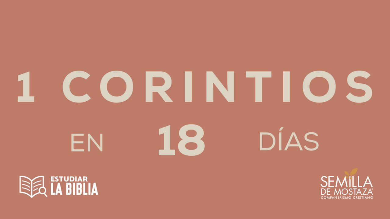 Estudiar la Biblia - 1 Corintios en 18 Días