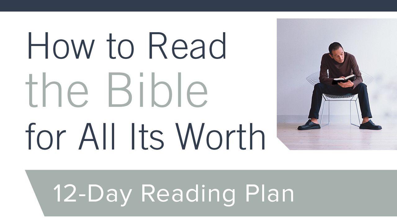 How To Read The Bible For All Its Worth