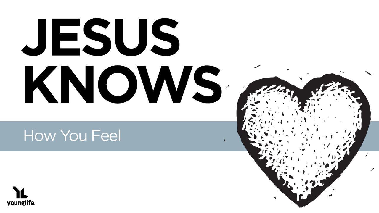 Jesus Knows How You Feel