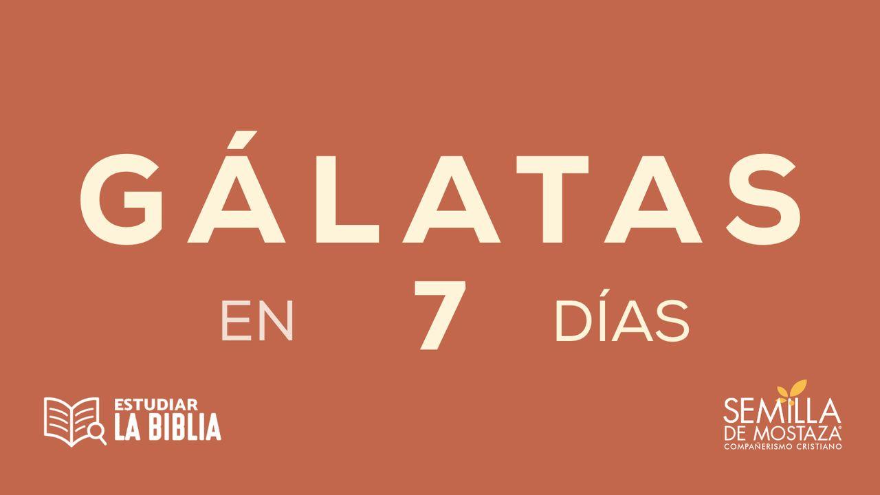 Estudiar la Biblia - Gálatas en 7 Días